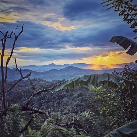 Eagle View Villa Ella Ngoại thất bức ảnh